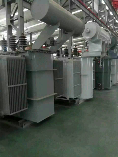 崇阳S11-6300KVA油浸式变压器